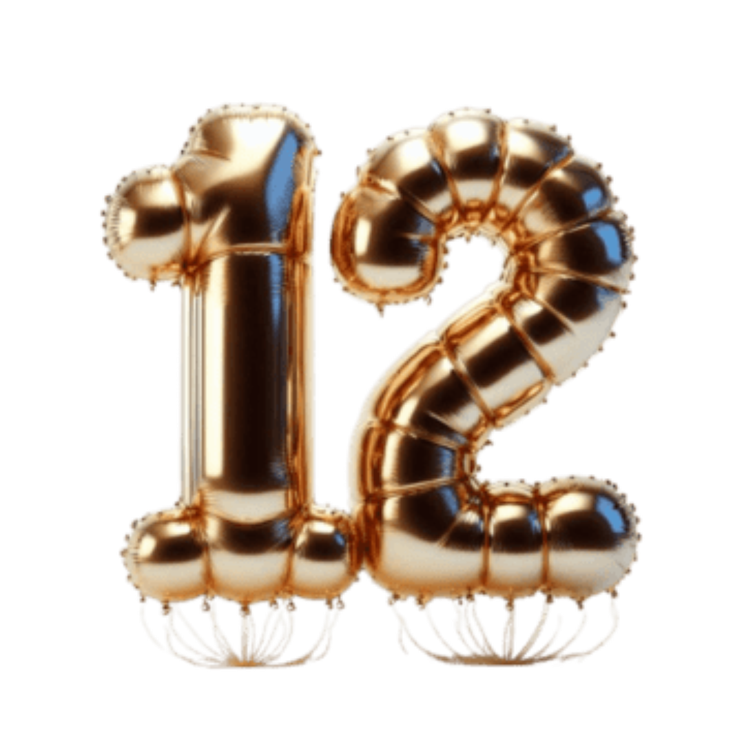 BALLONS 12PCS HEAVY 